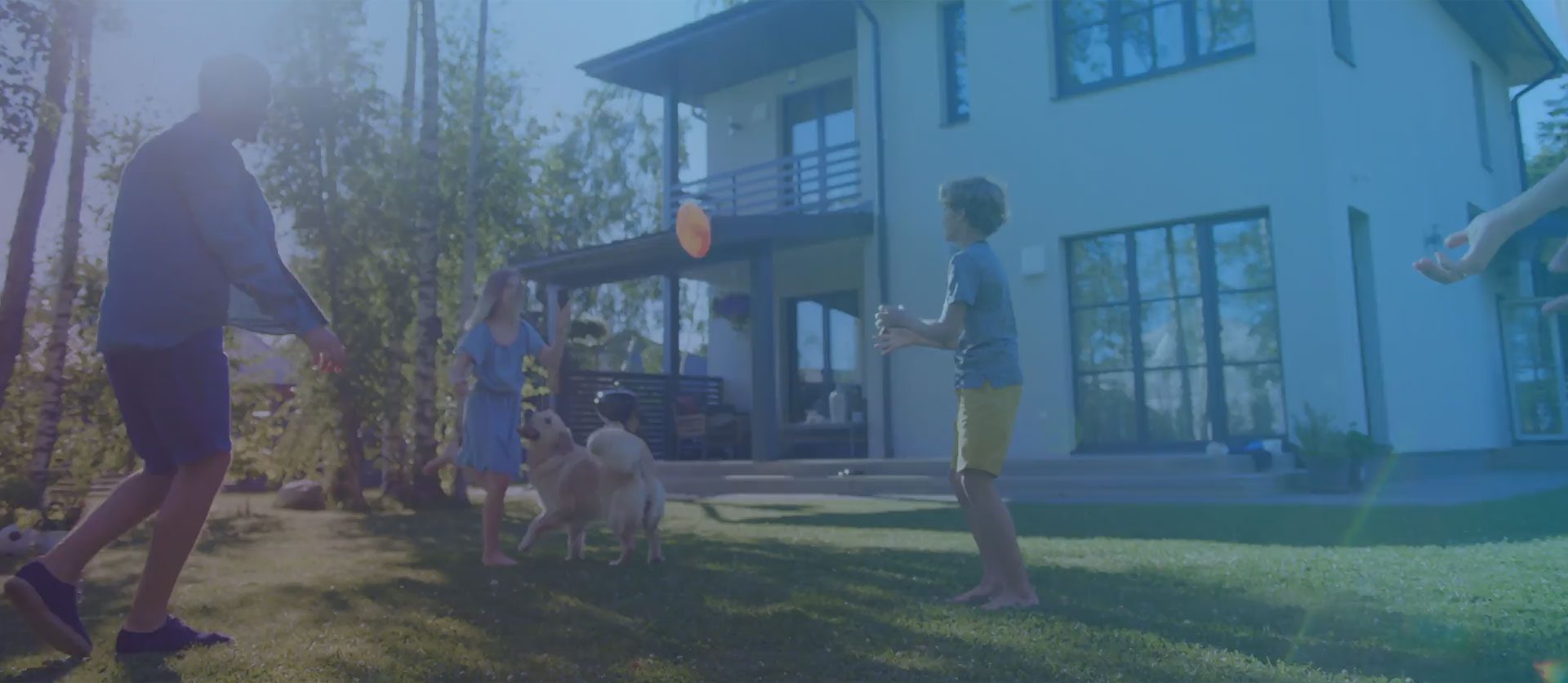 Image of Primary Location